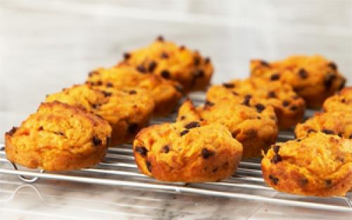 Как можно использовать жмых от яблок для производства биогаза