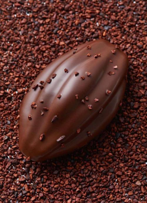 Сладкий вкус зимы: рецепт варенья из слив с какао без косточек 19 Сладкий вкус зимы: рецепт варенья из слив с какао без косточек 19