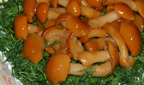 Опята маринованные на зиму. Как замариновать опята на зиму с лимонной кислотой?