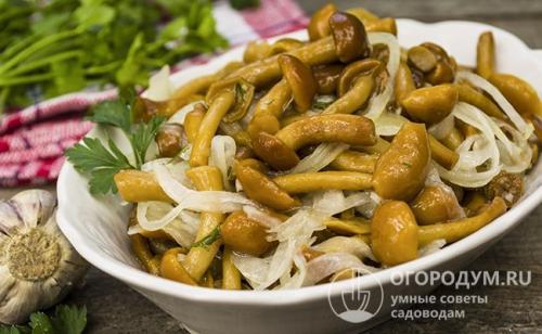Маринованные опята рецепт быстрого приготовления. Классический рецепт советских времен
