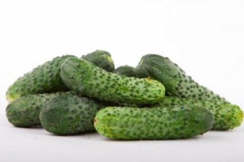 Лучшие сорта огурцов для открытого грунта: фото и названия (каталог)