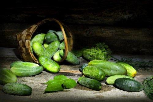 Лучшие сорта огурцов для открытого грунта: фото и названия (каталог)