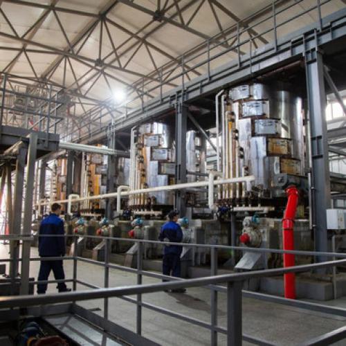 Можно ли использовать жмых из яблок для создания декоративных элементов