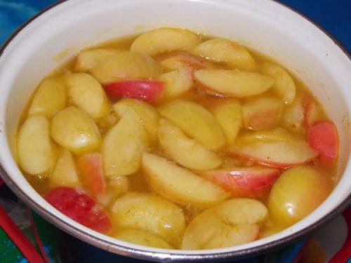 От яблочного компота до фарша: возможности использования жмыха 06