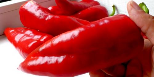 Как хранить перцы, чтобы они покраснели. Как и где правильно хранить красный перец?