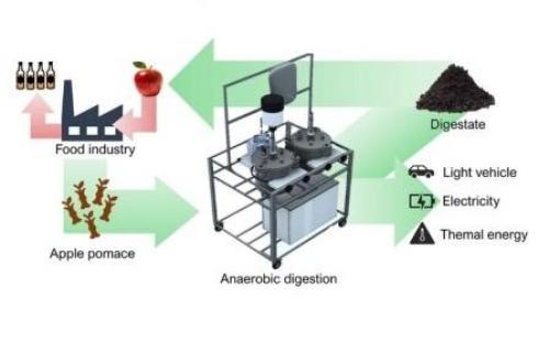 Экологичное и практичное использование жмыха от яблок из соковарки 15 Экологичное и практичное использование жмыха от яблок из соковарки 15