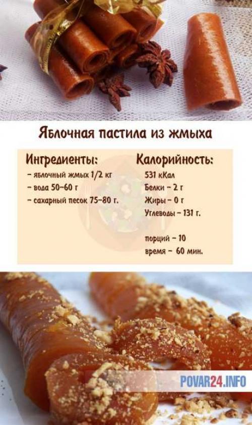 Получение пасты из жмыха яблок после соковыжималки: подробный процесс 08