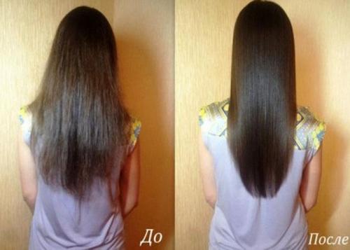 Экологичное и практичное использование жмыха от яблок из соковарки 11 Экологичное и практичное использование жмыха от яблок из соковарки 11