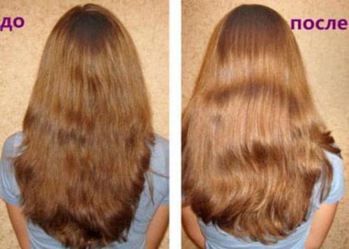 Экологичное и практичное использование жмыха от яблок из соковарки 10 Экологичное и практичное использование жмыха от яблок из соковарки 10