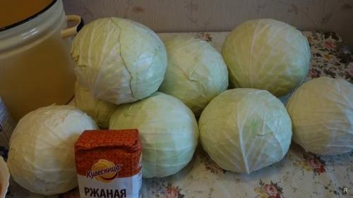 Как хранить капусту в холодильнике