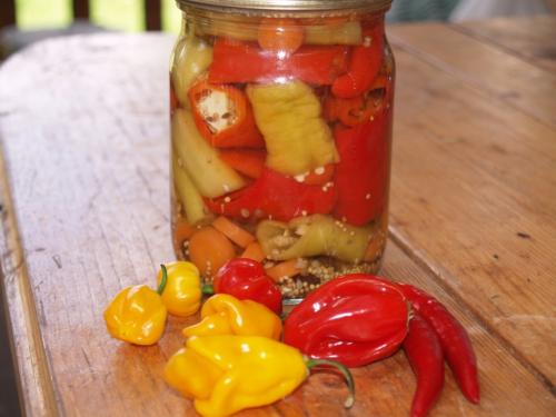 Острый перец в уксусе с сахаром. Маринованный горький перец с сахаром и уксусом