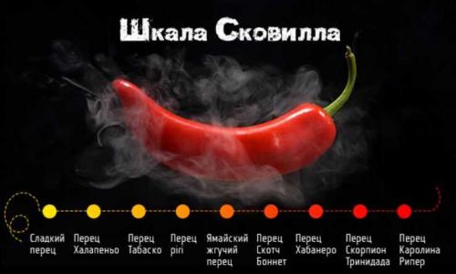 Почему перец острый и как измеряют жгучесть. Что такое шкала Сковилла? 01