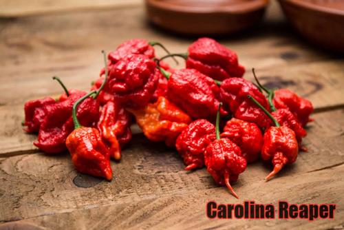 Почему перец острый и как измеряют жгучесть. Что такое шкала Сковилла? 11 Почему перец острый и как измеряют жгучесть. Что такое шкала Сковилла? 11