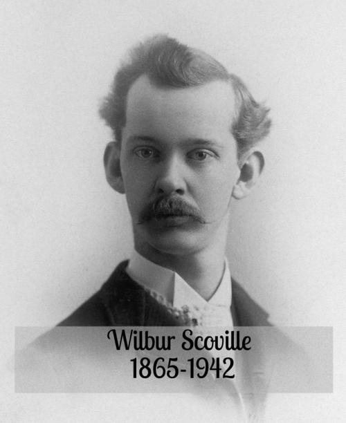 Почему перец острый и как измеряют жгучесть. Что такое шкала Сковилла? 10 Почему перец острый и как измеряют жгучесть. Что такое шкала Сковилла? 10