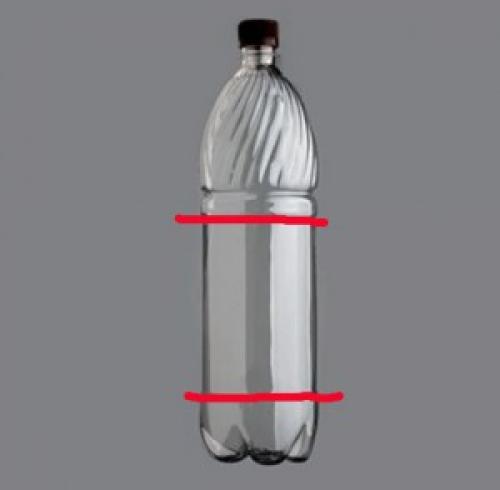 Купила лилии в августе с ростками, что делать. Добавление статьи в новую подборку 04