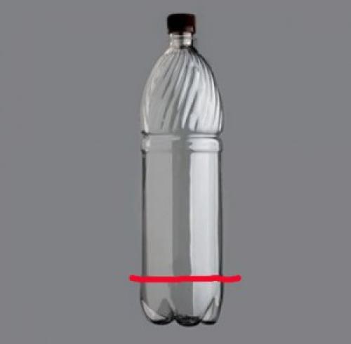 Купила лилии в августе с ростками, что делать. Добавление статьи в новую подборку 03