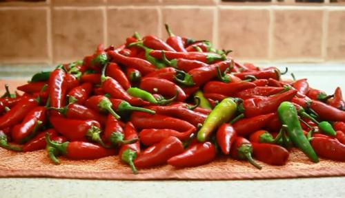 Как замариновать острый перец. Как замариновать горький перец на зиму? Рецепты пальчики оближешь