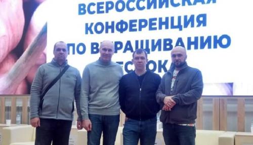 Стратегия успешного выращивания чеснока в 2025 году 06 Стратегия успешного выращивания чеснока в 2025 году 06