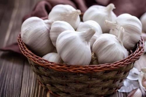 Как определить, что чеснок готов к сбору в 2025 году. Когда в 2025 году можно убирать яровой чеснок, сборка с грядки и хранение