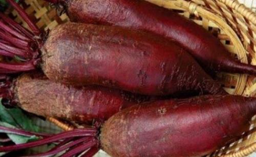 Как нужно укрывать чеснок от ветра. Чем лучше укрыть чеснок на зиму