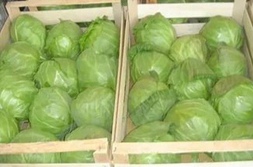 Как хранить капусту на зиму в погребе. Способы хранения