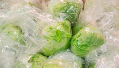 Как хранить белокочанную капусту в квартире. Как сохранить капусту разных разновидностей  06 Как хранить белокочанную капусту в квартире. Как сохранить капусту разных разновидностей  06