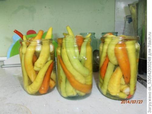 Перец полуострый бараний рог. Как я выращивал перец Бараний рог