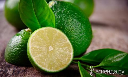 Как заготовить лайм на зиму. Как правильно хранить лайм