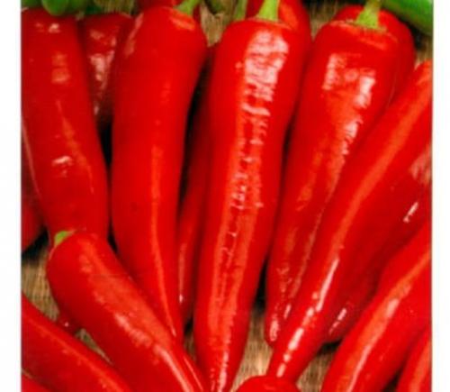 Сорта полуострого перца для выращивания в открытом грунте. Лучшие сорта полуострого перца