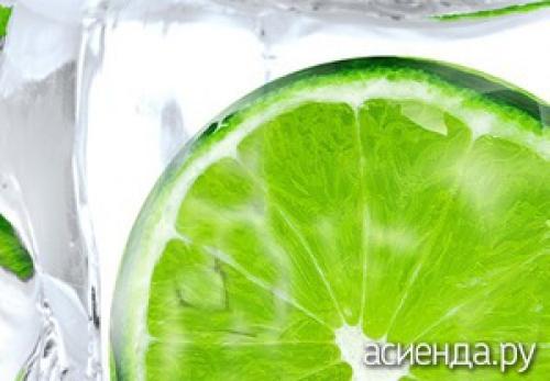 Как заготовить лайм на зиму. Как правильно хранить лайм