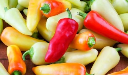 Сорта полуострого перца для выращивания в открытом грунте. Лучшие сорта полуострого перца