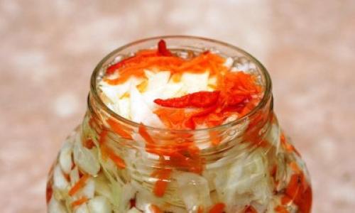 Можно ли хранить квашеную капусту в пластиковой посуде. Квашеная