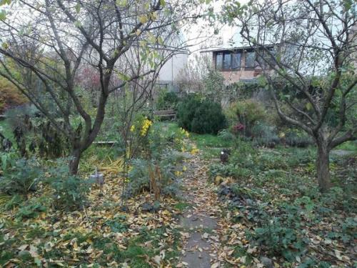 Влагозарядный полив осенью. Осень: подзимний влагозарядный полив