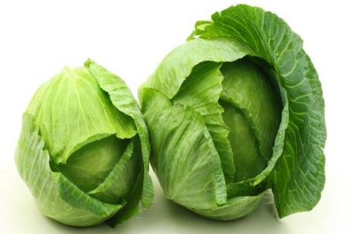 Засолка ранней капусты. ТОП 17 рецептов приготовления ранней капусты в банках на зиму