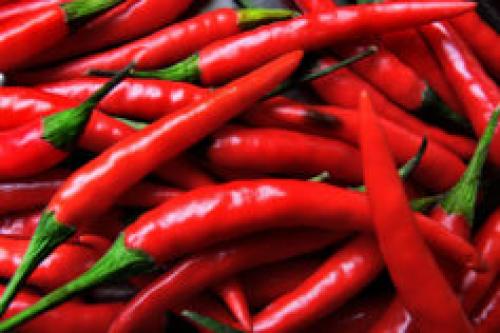 Острый маринованный перец на зиму. Правила приготовления