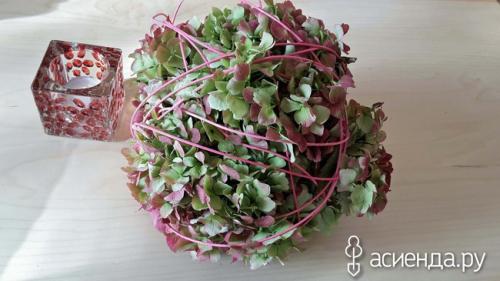 Гортензия засушить на зиму. Лучший способ высушить гортензии