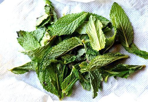 Заготовка листьев мяты на зиму. Заготовка мяты на зиму