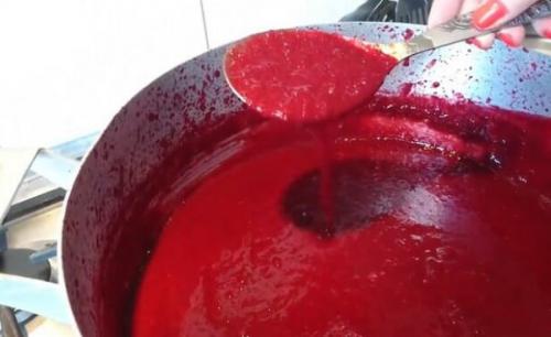 Какие сорта слив лучше всего подходят для приготовления джема без желатина. Джем из сливы на зиму — самый простой рецепт «Пятиминутка»