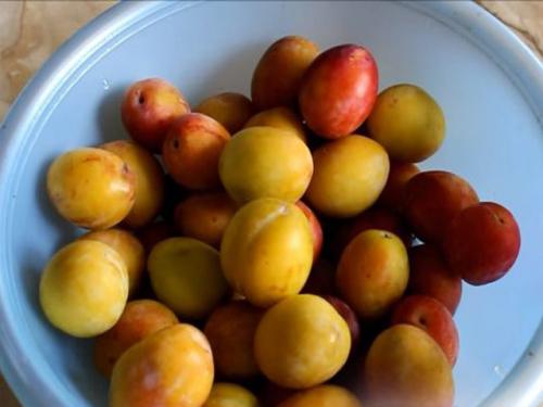 Как определить, что варенье из белых слив готово. Варенье из сливы без косточек на зиму — простой рецепт «пятиминутка»