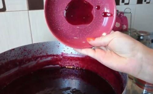 Какие сорта слив лучше всего подходят для приготовления джема без желатина. Джем из сливы на зиму — самый простой рецепт «Пятиминутка»