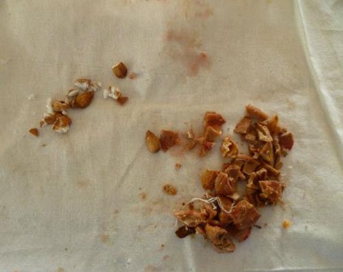 Какой идеальный сахар и вода для варенья из белых слив. Варенье из сливы без косточек на зиму: 10 простых рецептов густого сливового варенья