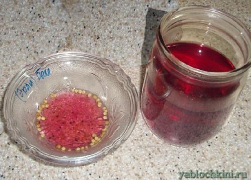 Как зимует мелисса. Посадка мелиссы 06 Как зимует мелисса. Посадка мелиссы 06