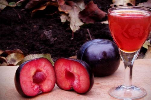 Какие напитки можно приготовить с добавлением медовой сливы. 20 потрясающих рецептов наливки из сливы