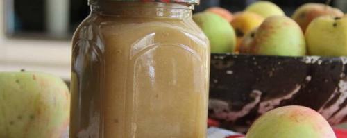 Можно ли использовать все виды яблок для приготовления пюре. Яблочное пюре на зиму
