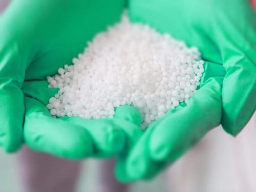 Как вырастить крупный чеснок. Чем поливать и подкармливать чеснок, чтобы был крупным