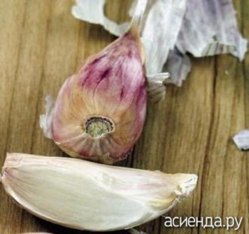 Бактериоз чеснока
