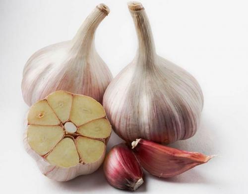 Чем отличается яровой чеснок от озимого. Как отличить озимый чеснок от ярового фото