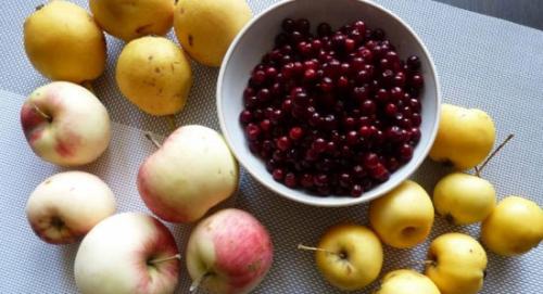 Можно ли использовать падалицу яблок в качестве начинки для пирогов и пирожных. Начинка из яблок для пирогов и пирожков