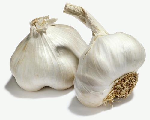 Сколько растет чеснок в теплице. Идея для бизнеса: выращивание чеснока в теплице