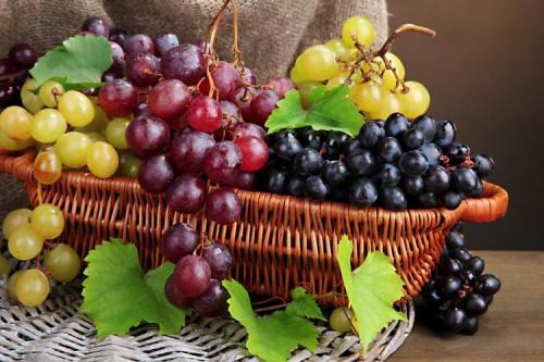 ТОП-53 лучших самых вкусных сортов винограда на 2022 год. Лучшие сорта винограда: фото, названия и описания (каталог)